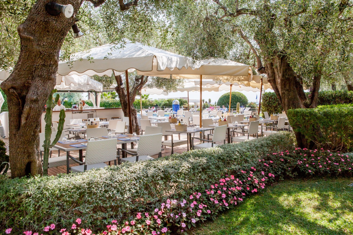 Le restaurant de piscine du Diana Majestic installé sous les oliviers du jardin